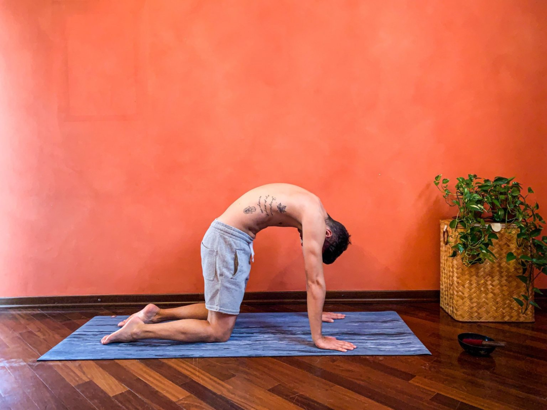 在家练习瑜伽的男人摆出武士姿态或virabhadrasana 库存图片 - 图片 包括有 灵活性, 健身: 218214737